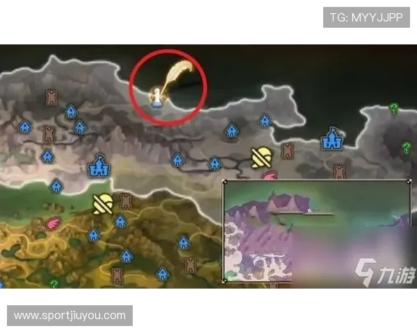 九游会地址最新入口，安全可靠的九游会地址推荐指南